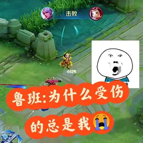 鲁班你们再欺负我我就退出王者了