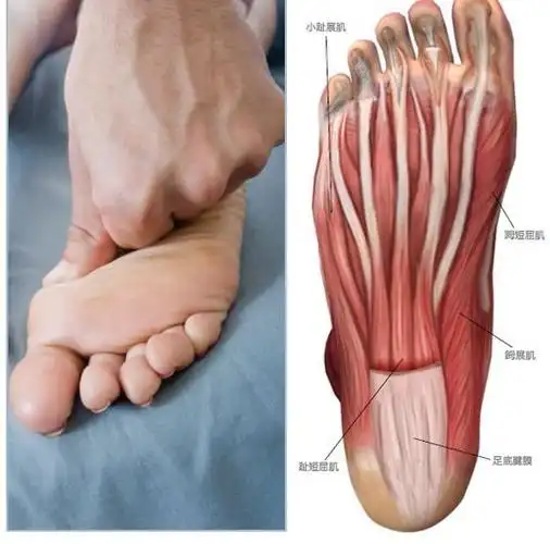 缓解运动后肌肉紧张与疼痛在家就能做的足部按摩乒乓国球汇