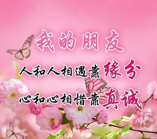 写给此生遇到的真心朋友