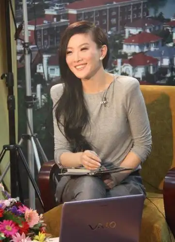 曾被誉为"江苏综艺一姐"的陈怡