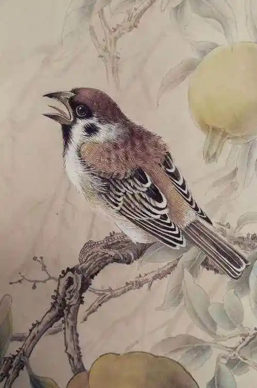 80幅精品工笔花鸟画,幅幅精彩绝伦