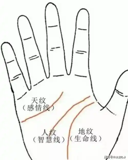 相学——手相"男左女右"的由来_左手_右手_说法