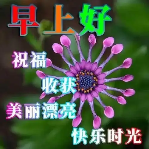 原创早上好问候语图片早上表情包全集