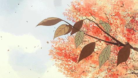 500_281gif 动态图 动图