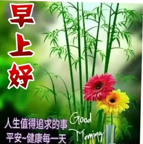 早上好图片与照片 - 美篇