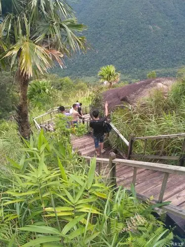 昌江县霸王岭国家森林公园一日游