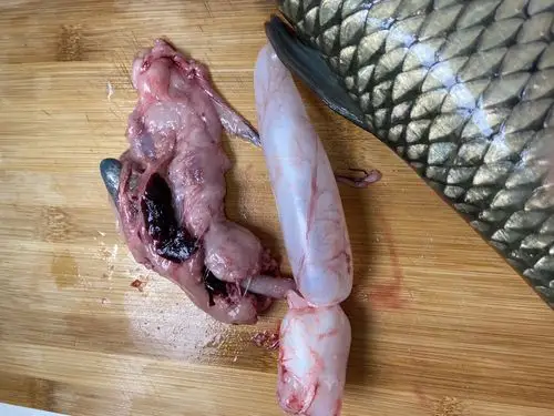 拿出鱼的内脏