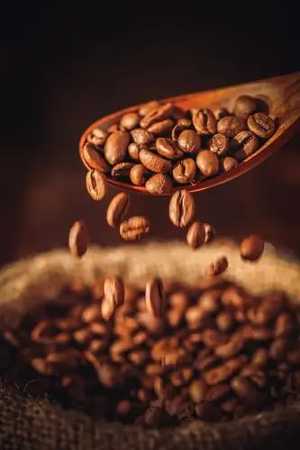 云南阿拉比卡精品咖啡豆 中度烘焙 227克