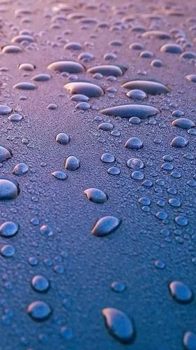 壁纸走一波 - 华为nova7系列分享交流 花粉俱乐部