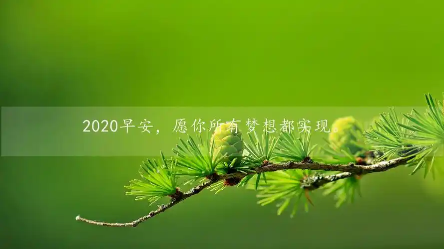 早上好新版2020唯美励志暖心简约图片