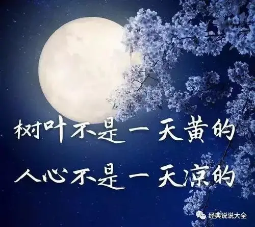 心烦心累的10句心情短句我读到第四句心疼了