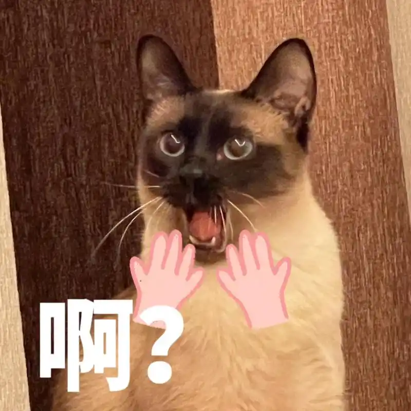 挖煤工来袭|猫猫头表情包攻击! #暹罗猫 #萌宠出道计划 # - 抖音