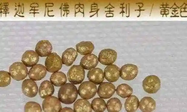 舍利是什么舍利子一颗真的值多少钱