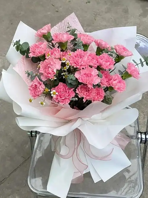 粉色康乃馨花束送妈妈