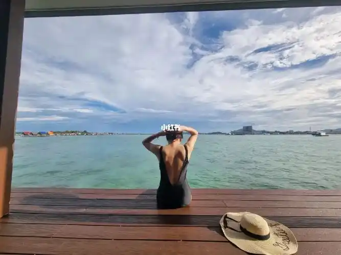 记录显示这种背有一条线叫背沟.