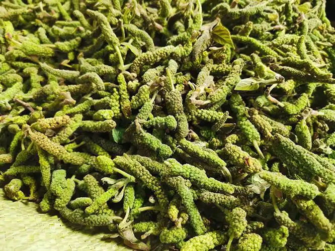 新鲜构蒲穗构树花新鲜时令野菜构普穗儿构棒槌儿构构菜吊构穗 3斤构穗