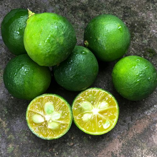 金桔顺丰包邮海南小金新鲜青金3斤装青桔子桔子