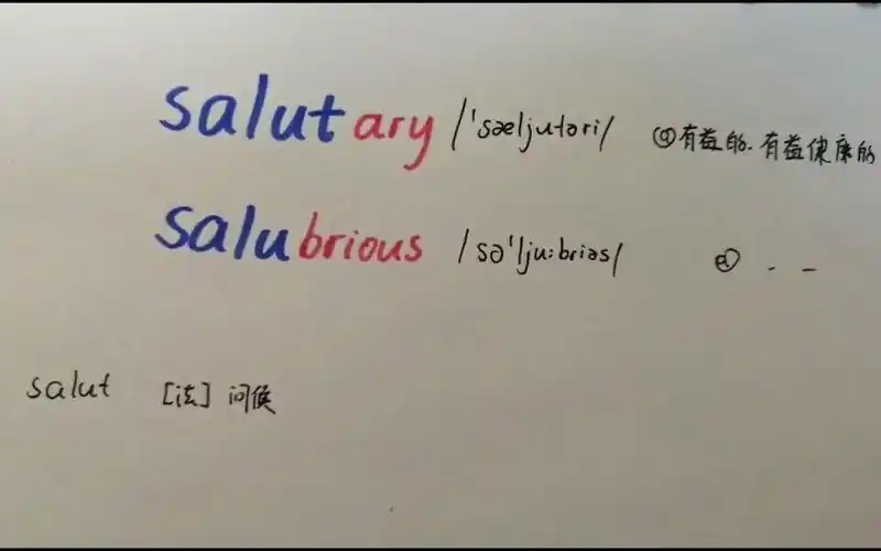 活动作品单词salutary