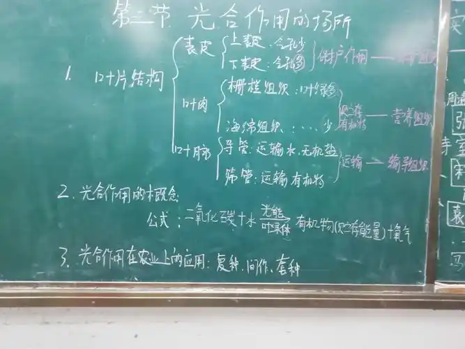 丰富多彩的生物课堂