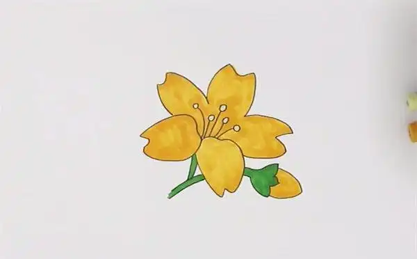 迎春花简笔画