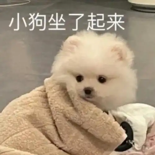 你发你普通朋友生日合影祝ta生日快乐,大家:祝ta生日快乐!