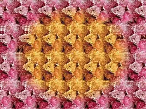 三维立体图 - 美篇