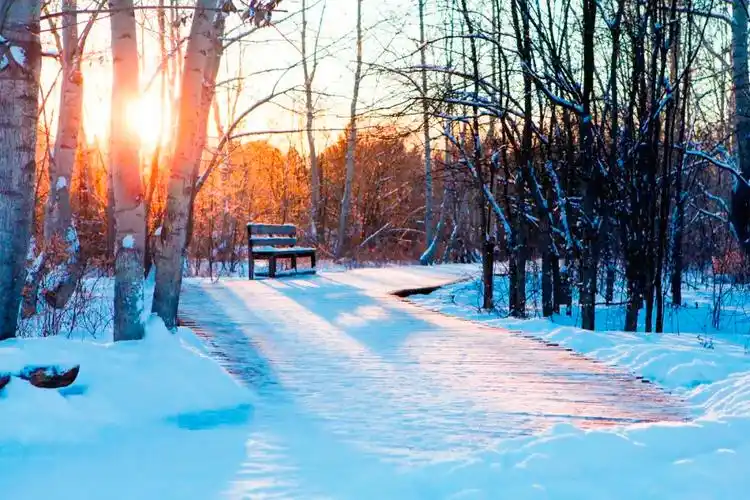 30句冬日诗词,天气转冷了,读点温暖的句子暖暖心