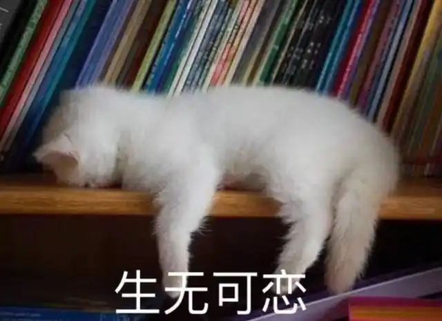 当时就一个想法