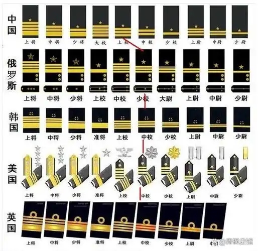 海军军衔管袖标识别图