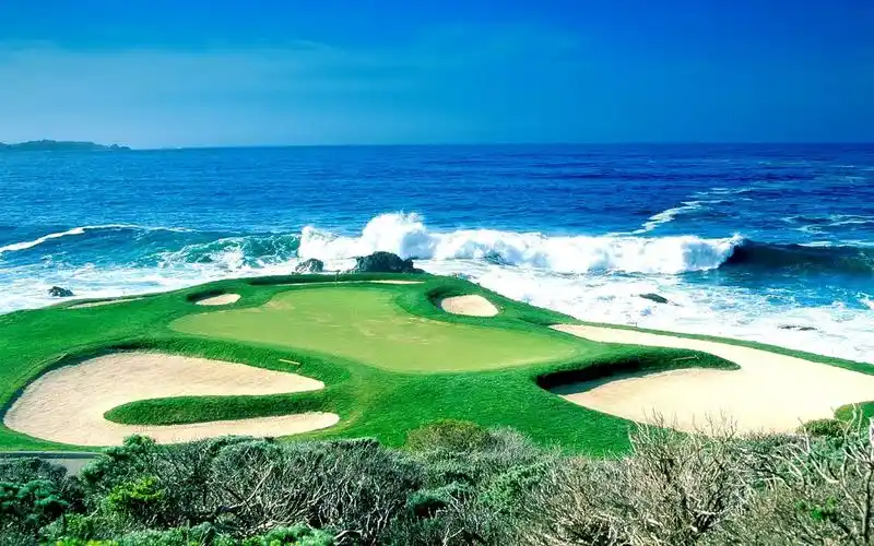 下载1680x1050 海滩的绿色 壁纸, 图片