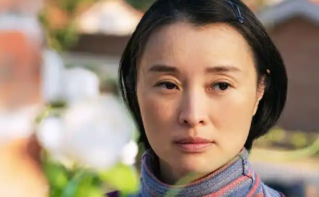 电视剧温暖的味道刘海棠扮演者吴越剧照图片