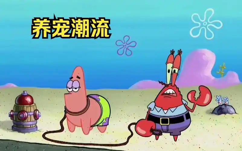 比基堡掀起了一股养宠物的风气,蟹老板将派大星当做宠物来养