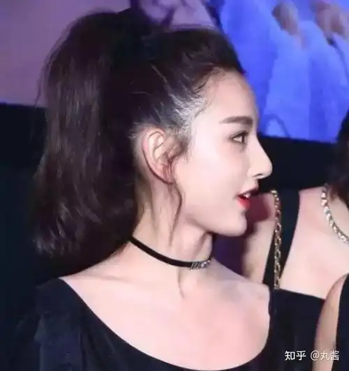 扒一扒哪个女明星的鼻子最好看,哪个是你的隆鼻模板?