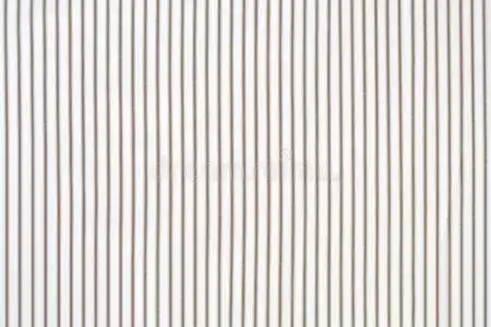 白色条纹衬衫照片