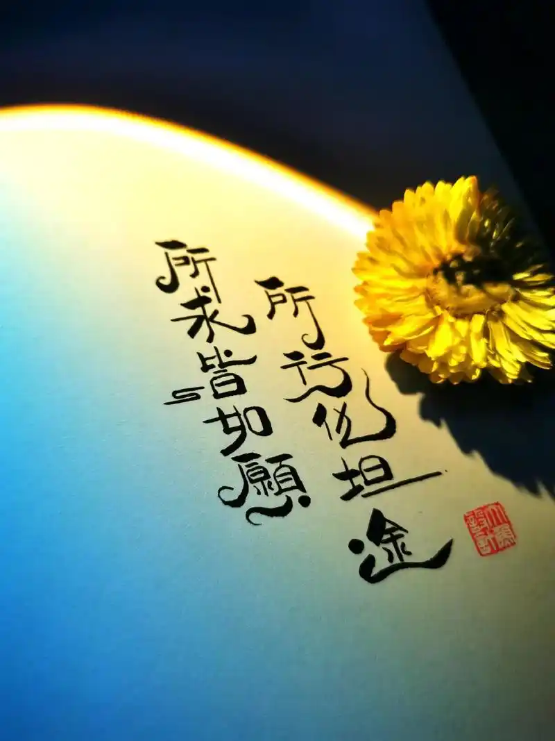 所求皆如愿,所行化坦途 #抖音图文来了 #文案 #创意文字  - 抖音