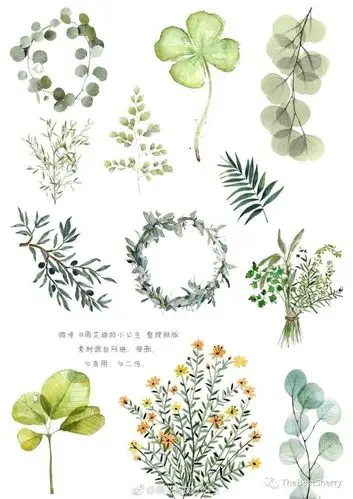 77 北欧风 | 仙人掌 | 小清新77 手帐素材分享no.