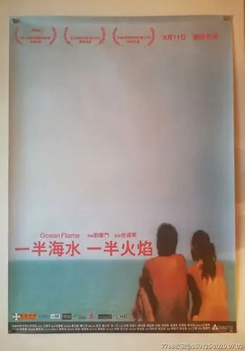 刘奋斗《一半海水,一半火焰》廖凡/任达华/李小冉/**版原版电影海报