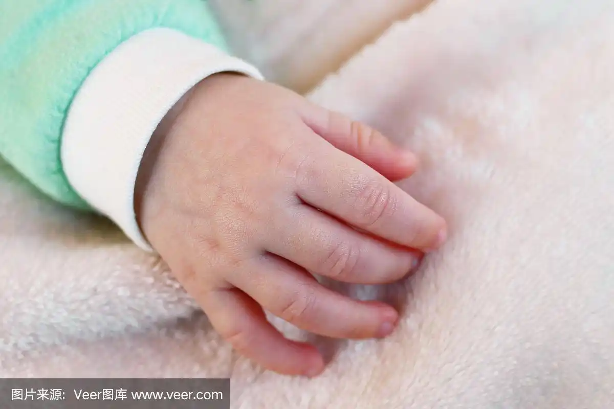 特写,手,婴儿,可爱的,部分