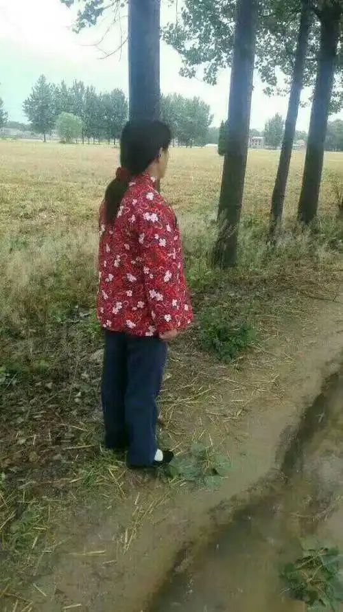 《猫眼》里的女人们,——浅析刘巧芝长篇小说《猫眼》,郝秀琴