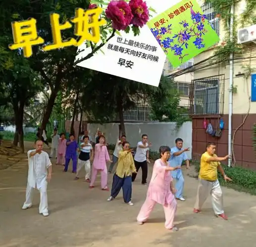 拳友们早上好,天天晨练身体好,吴式太极拳训练基地