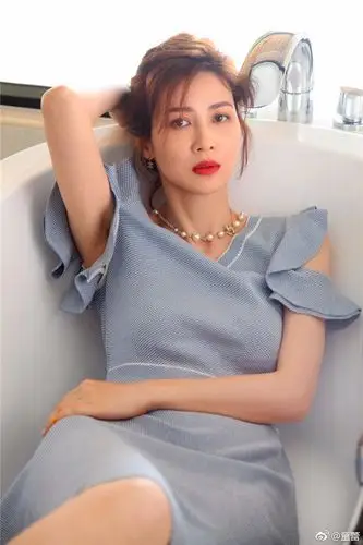 2004年,童蕾搭档黄海冰出演古装剧《隋唐英雄传》里的李蓉蓉一角.