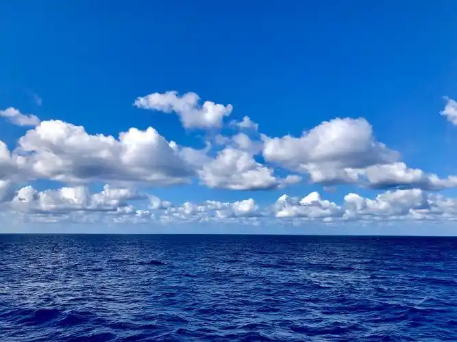 深海的海水湛蓝一片,那深邃的蓝似要把人吞噬.