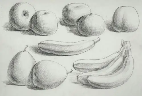 素描静物入门