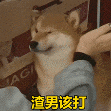 渣男该打(打脸狗狗动图表情包)_动图_打脸_男该表情