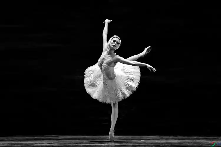 芭蕾舞剧《天鹅湖》041.jpg