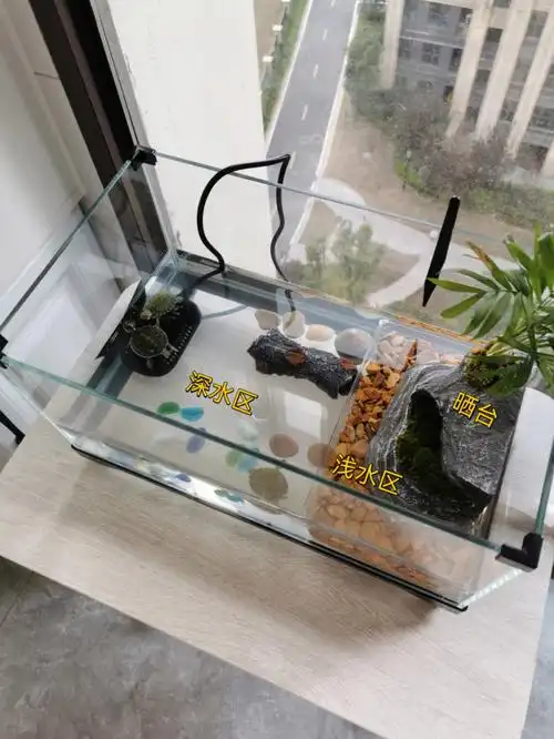 我家龟缸的布置给大家参考一下