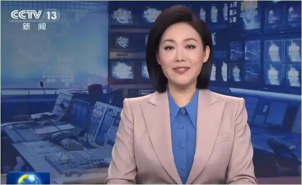 朝闻天下|东方卫视|新闻联播|央视主持人_网易订阅