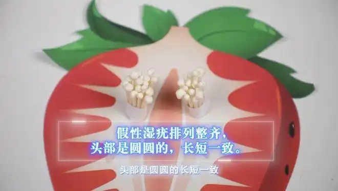 私处这种小疙瘩是性病吗?6个维度教你判断