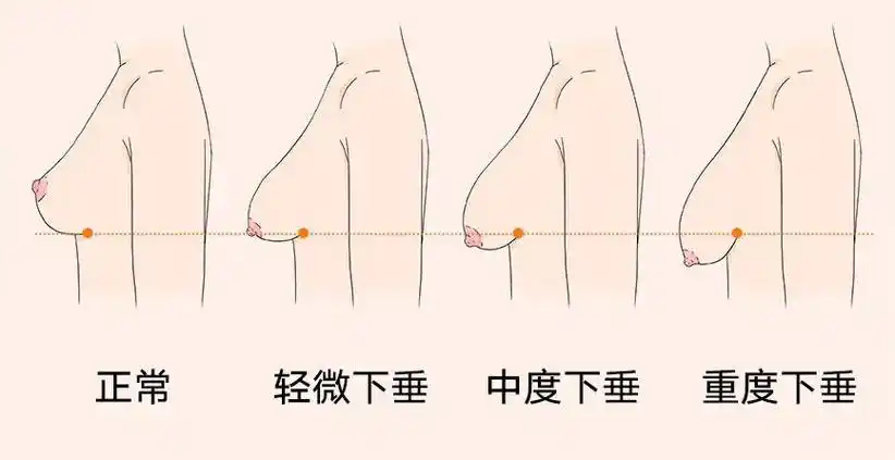爱问健康_杨芷_副主任医师_爱问健康