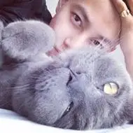 男生头像图片帅气抱猫有爱男生抱在怀里猫咪头像图片